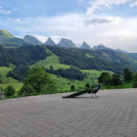 Appartement Toggilodge