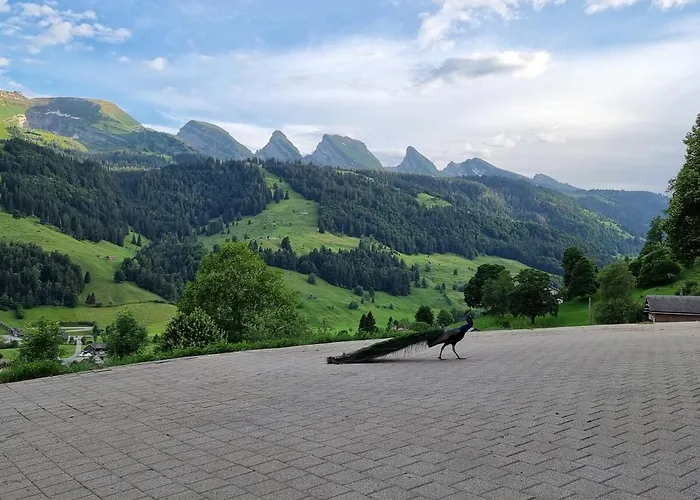 Apartament Toggilodge